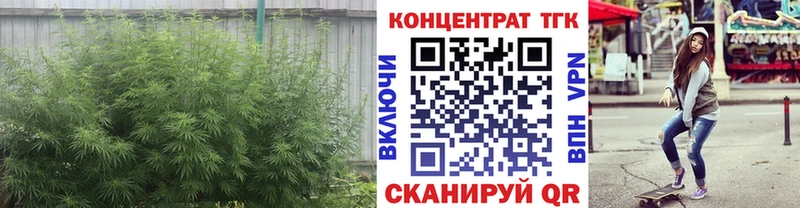 гидра вход  Чухлома  Дистиллят ТГК концентрат 