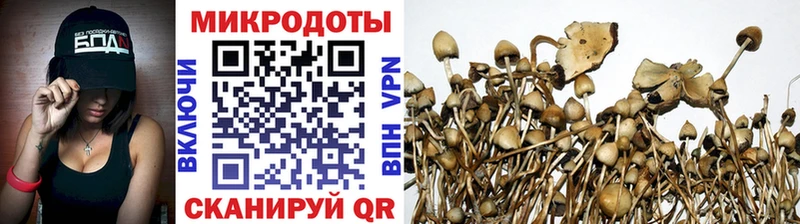 купить   Чухлома  кракен рабочий сайт  Галлюциногенные грибы Magic Shrooms 
